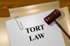 Law of Torts